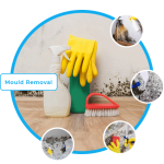 Trade Select | Top 5 Mistakes to Avoid During Mould Damage Restoration Mould Removal