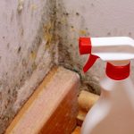 Mould, moisture, and condensation: How to safeguard your home