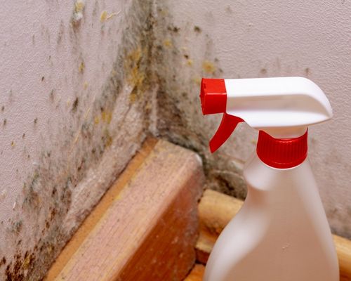 Mould, moisture, and condensation: How to safeguard your home