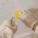 Trade Select | Mould Remediation in Bayswater for Safe Containment and Source Control Mould Remediation in Bayswater