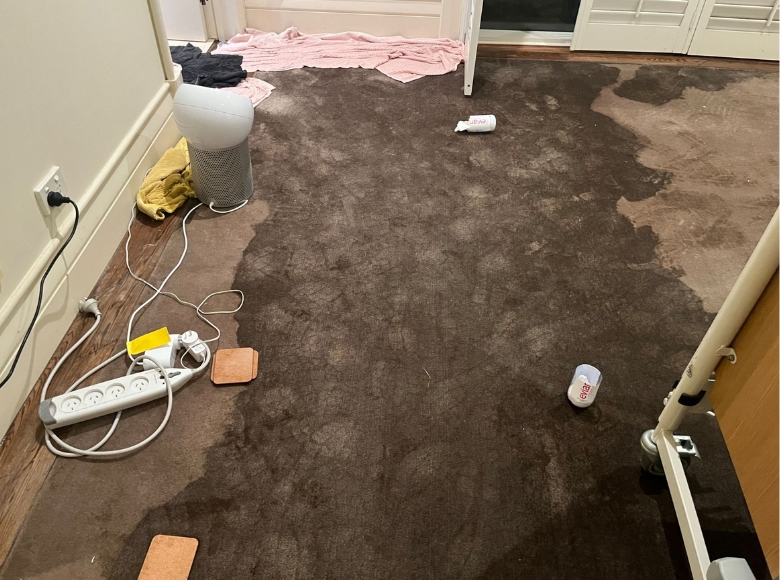 Carpet water damage restoration and drying services throughout Brisbane Metro North.