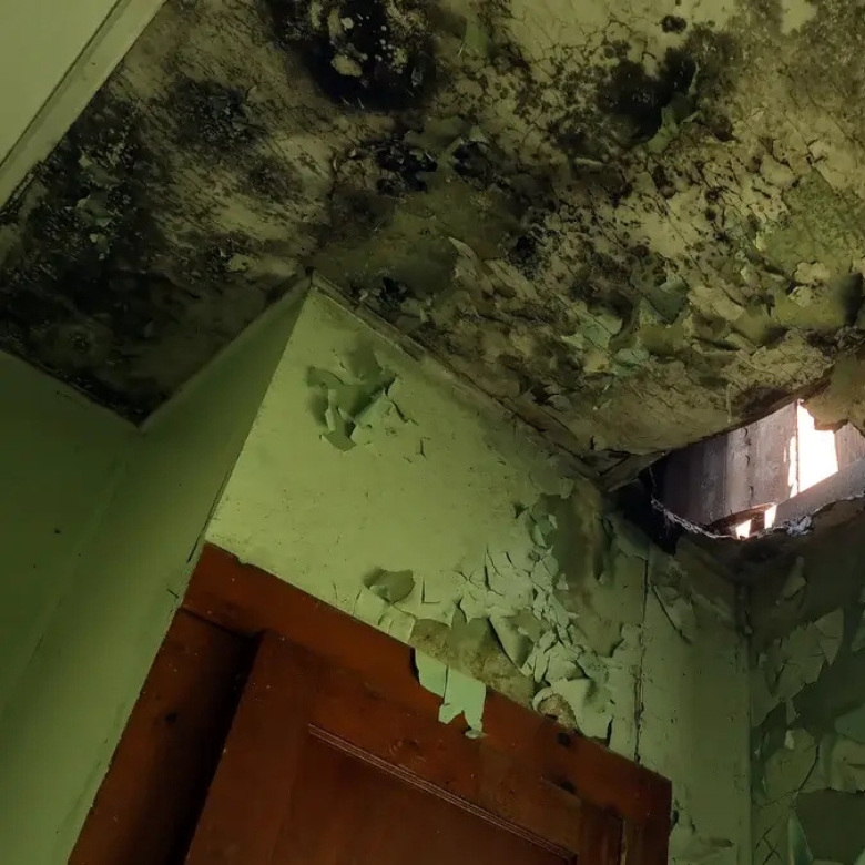 Canberra North professional mould removal for exterior surfaces affected by moisture and mould