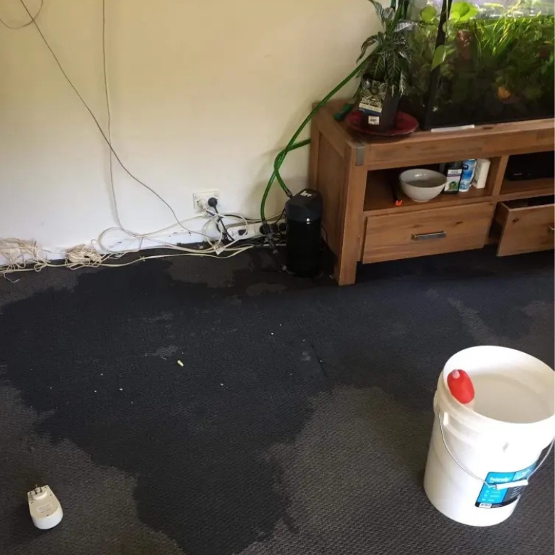 Canberra South carpet water damage restoration for wet carpets and flooring