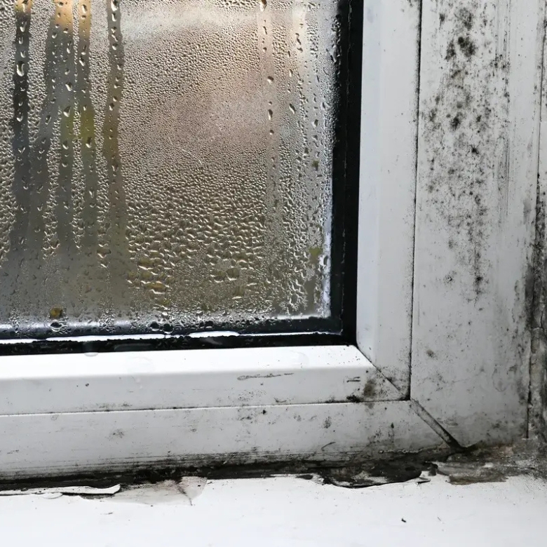 Professional mould removal on the Gold Coast for mould affected window frames