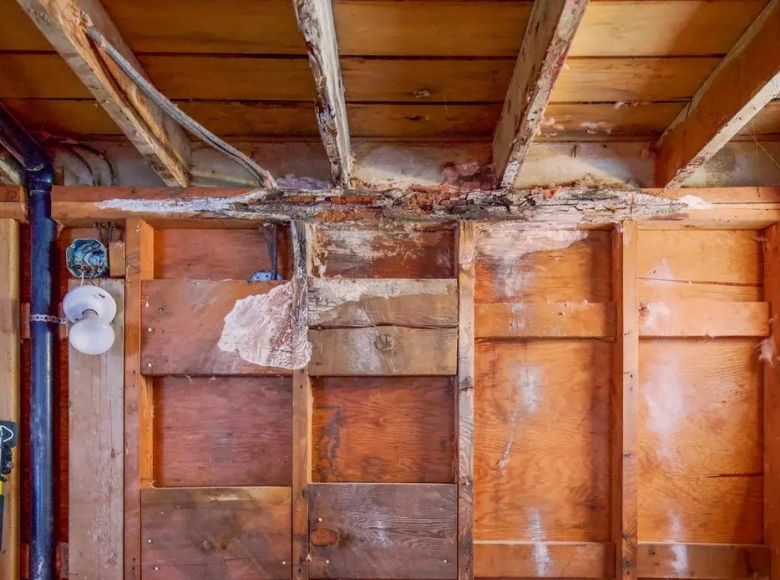 Expert mould removal in Hobart Huon for timber subfloor and crawl space areas