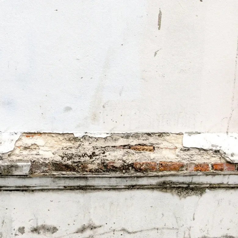 Launceston expert mould removal for wall mould caused by moisture damage