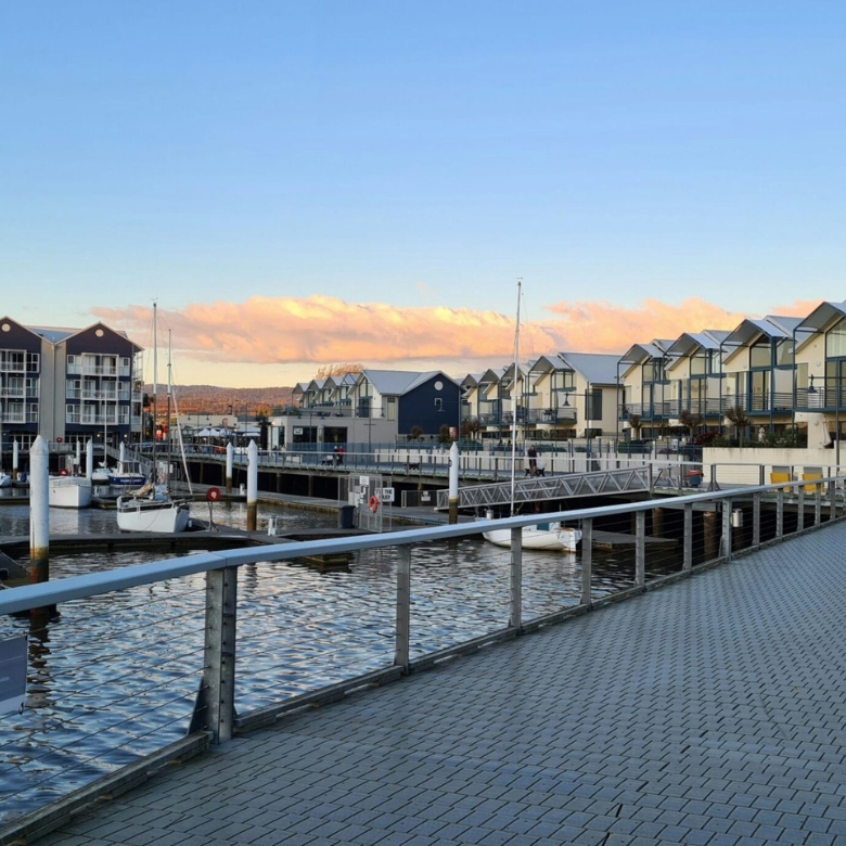 Professional mould removal services in Launceston for homes affected by moisture