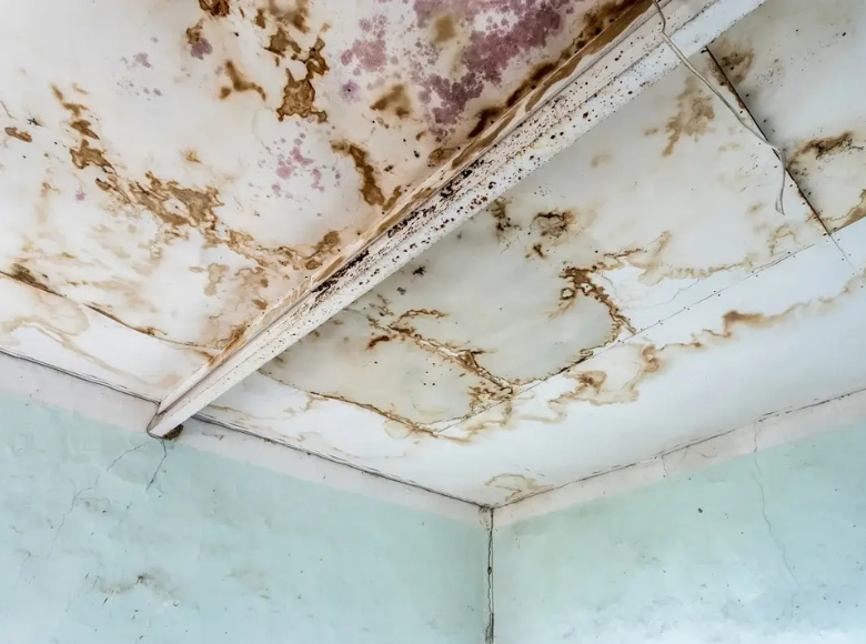 Mould growth on a damp ceiling before professional mould removal in Launceston