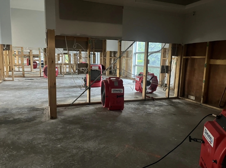 Professional structural drying in Melbourne Inner West for water damaged rooms