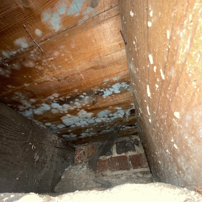 Professional mould removal in Melbourne Outer East for timber surfaces affected by damp and mould