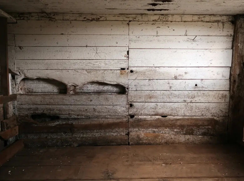 Expert mould removal in Perth South for mould affected timber walls