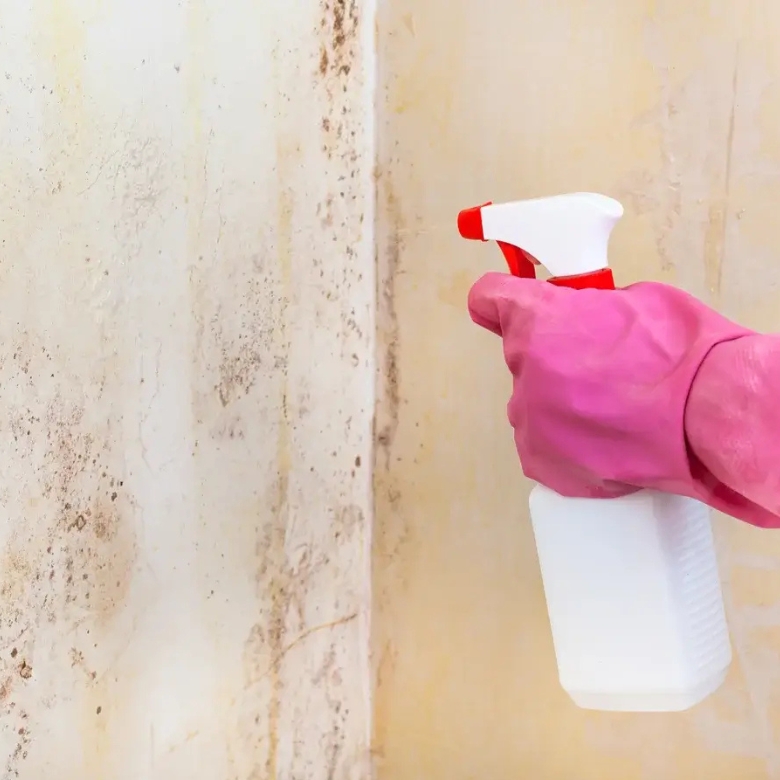 Sydney Inner West Hills professional mould removal for mould affected walls and indoor surfaces