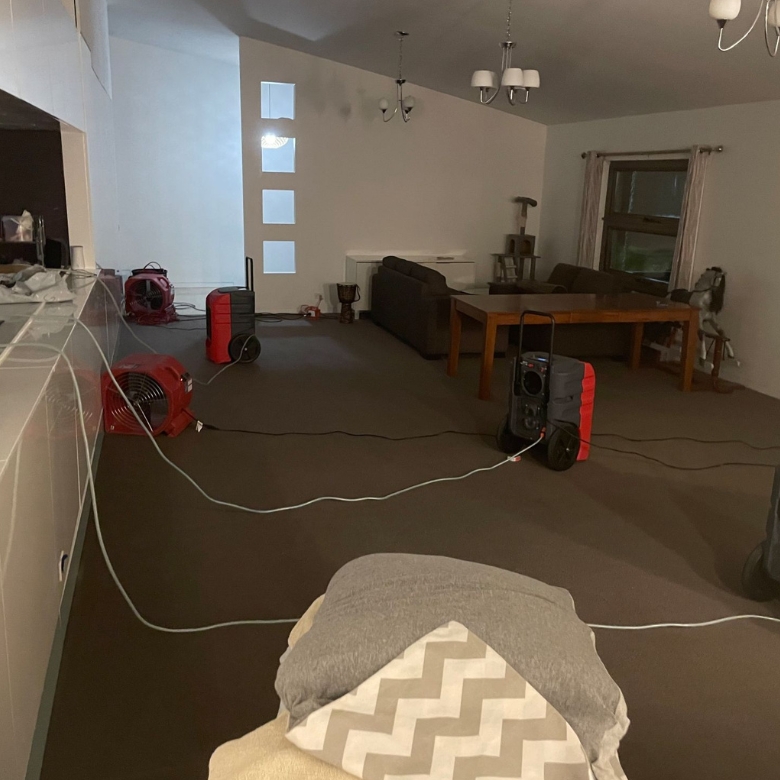 Professional structural drying in Sydney Inner West Hills for water damaged rooms