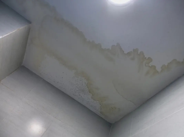 Sydney North Northern Beaches expert mould removal for damp walls and moisture affected surfaces