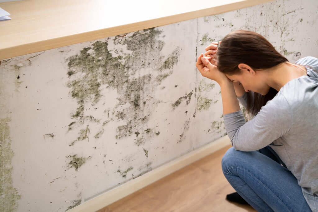 Mould Removal Melbourne: Stop Recurring Growth at the Moisture Source