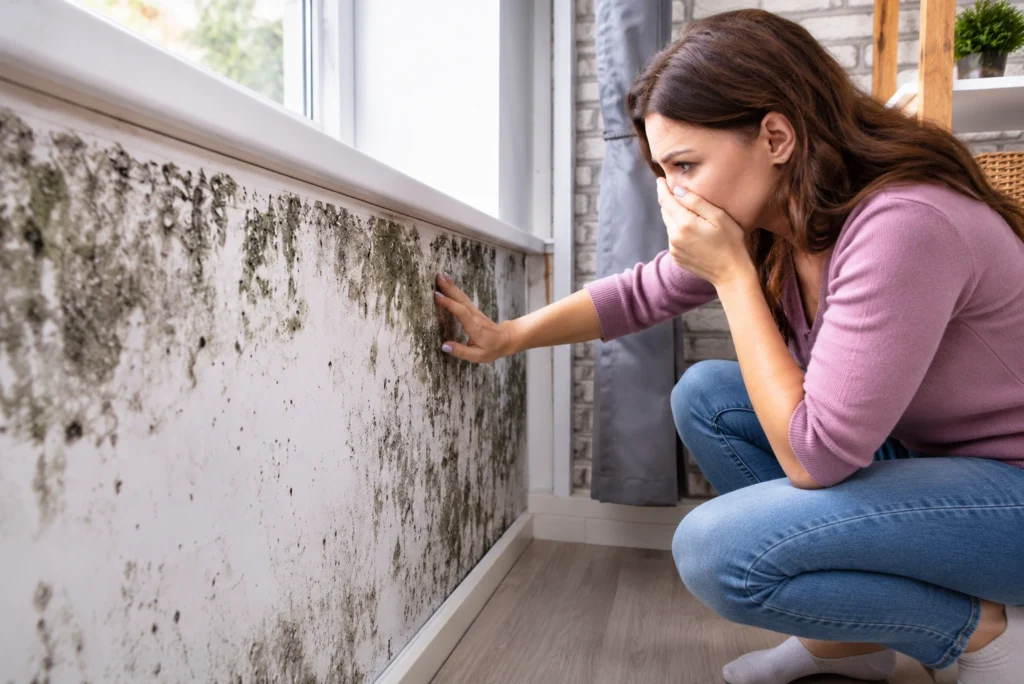 Recurring Mould Treatment: Why Moisture Investigation Matters