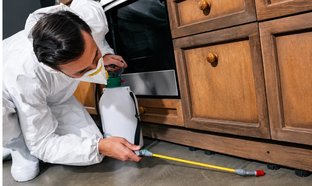 Choosing Mould Cleaners? Look for a Team That Investigates Why the Mould Is There
