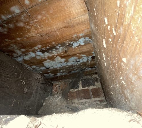 White mould spots and moisture damage inside a roof cavity