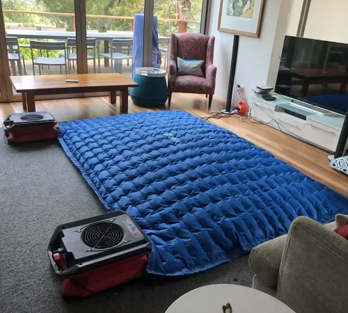 Professional drying equipment for wet carpets and water damaged flooring