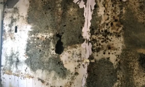 mould-img-03