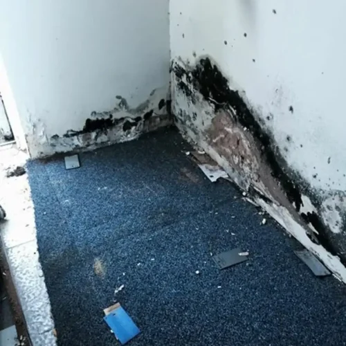 mould-img-05